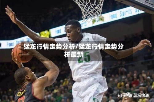 猛龙行情走势分析/猛龙行情走势分析最新