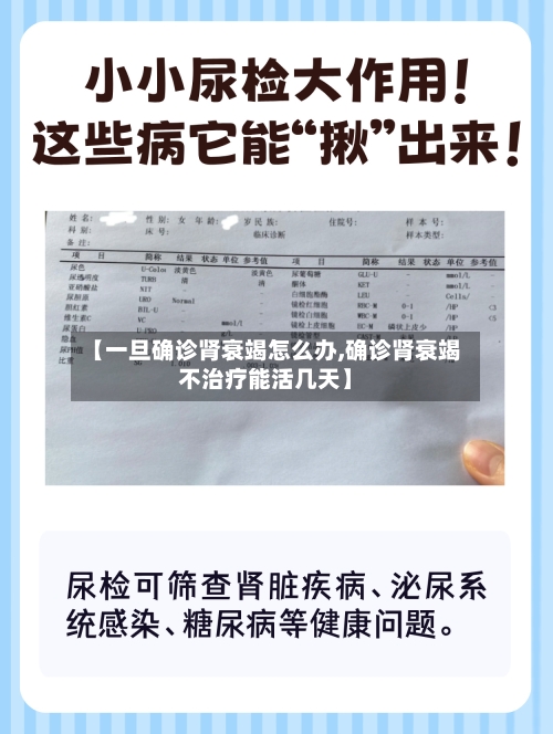 【一旦确诊肾衰竭怎么办,确诊肾衰竭不治疗能活几天】-第3张图片