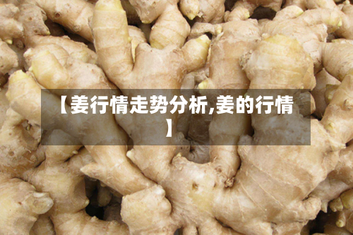 【姜行情走势分析,姜的行情】