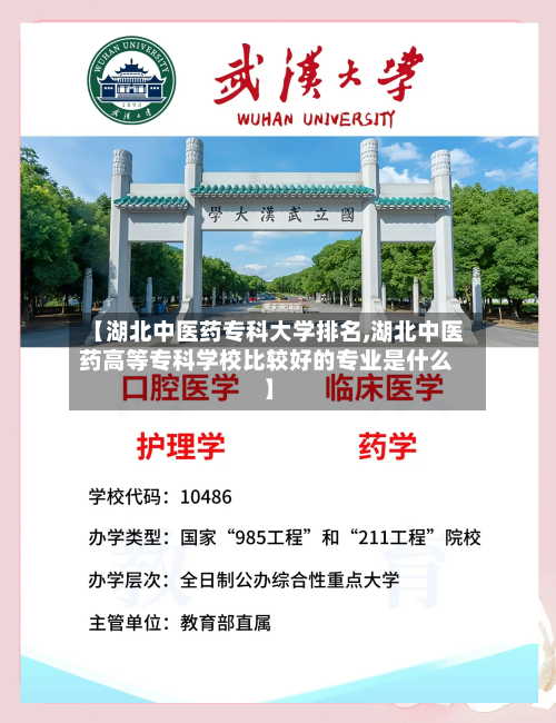 【湖北中医药专科大学排名,湖北中医药高等专科学校比较好的专业是什么】-第2张图片