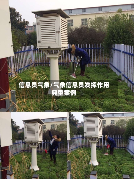 信息员气象/气象信息员发挥作用典型案例