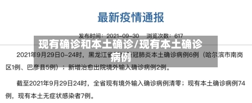 现有确诊和本土确诊/现有本土确诊病例