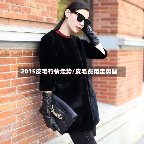 2015皮毛行情走势/皮毛费用走势图-第3张图片