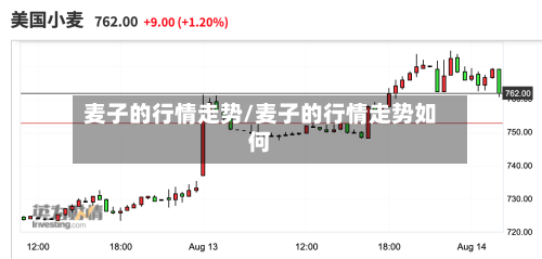 麦子的行情走势/麦子的行情走势如何