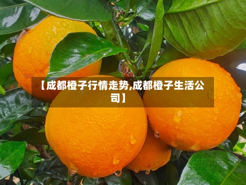 【成都橙子行情走势,成都橙子生活公司】-第2张图片
